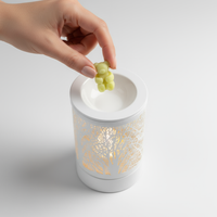 Melty Wax Electric Warmer